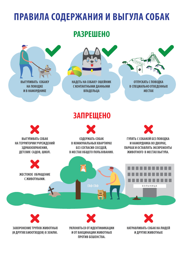 Правила выгула домашних животных на природных и озелененных территориях